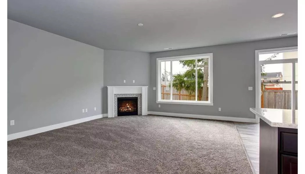 carpet in a large living room
