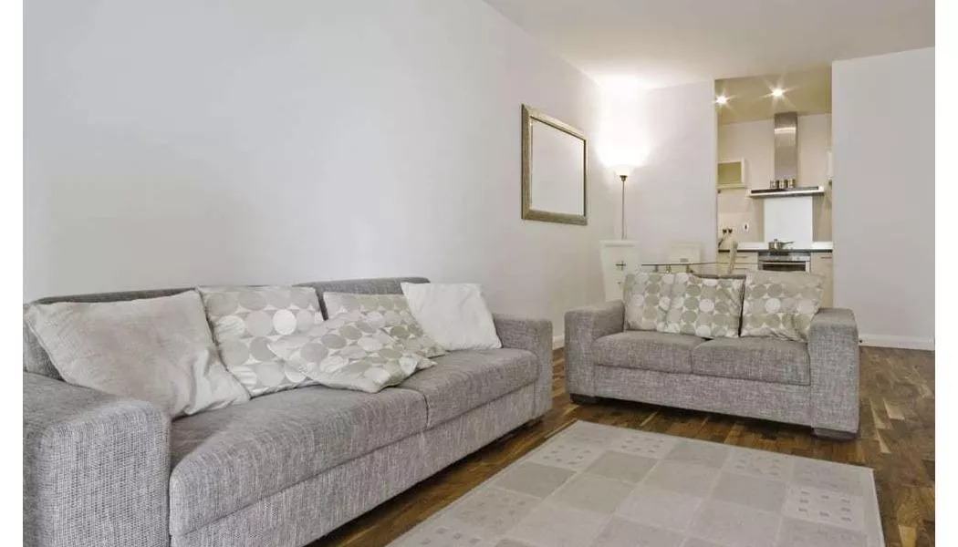 nice rug in living room