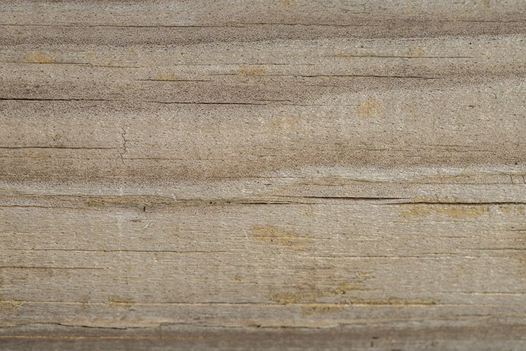 a close up image of a water damaged hardwood plank